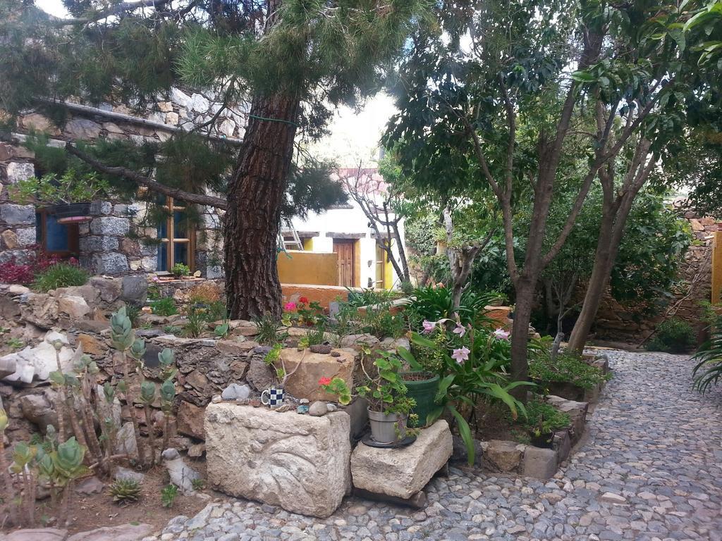 CatorceCasa Curtos公寓 客房 照片